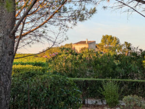 Blick in die Landschaft