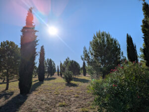 Blick in die Landschaft