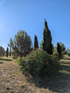 Blick in die Landschaft