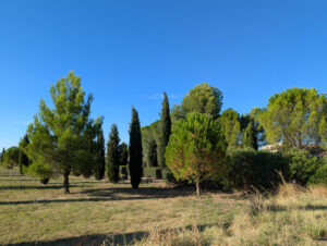 Blick in die Landschaft