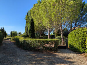 Eingang zu "unserem Grundstück"