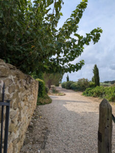 Blick Richtung Zufahrt