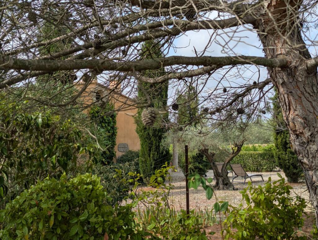 Blick in einen der Gärten