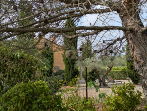 Blick in einen der Gärten