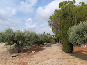 Blick Richtung Haupthaus