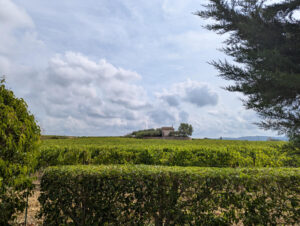 Blick in die Landschaft