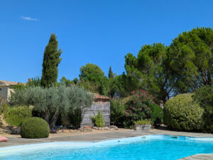 Am Pool - Blick Richtung Haus