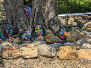 Am Pool - Unter dem Olivenbaum