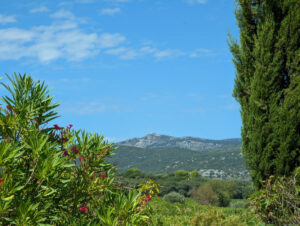 Am Pool - Blick in die Berge
