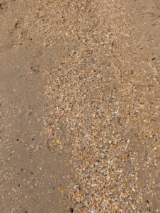 Meer - klares Wasser