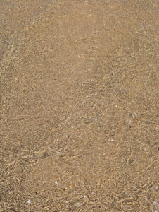 Meer - klares Wasser