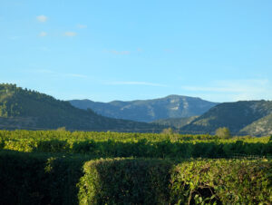 Domaine - Blick in die Landschaft