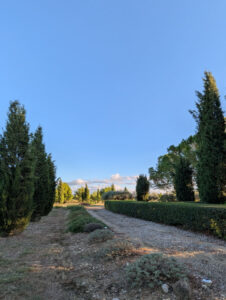 Domaine - Zugangsweg