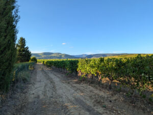 Domaine - Zugangsweg