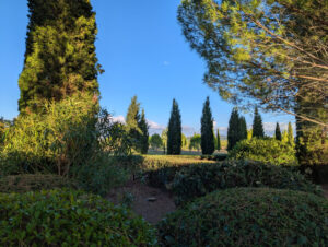 Domaine - Blick auf die Baumwiese