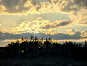 Am Strand von Marseillan Plage - bei Sonnenuntergang