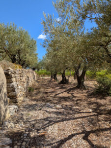 Weinberg-Gütle ... Terrasse