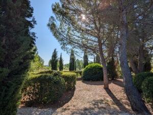 Ferienwohnung Amellou - Garten