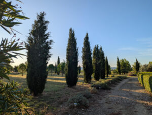 Ferienwohnung Amellou - Baumwiese mit Zugang zur Ferienwohnung