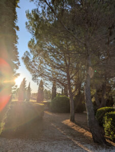 Ferienwohnung Amellou - Garten im Gegenlicht