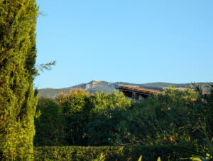 Ferienwohnung Amellou - Blick in die Landschaft