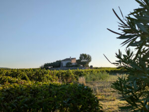Ferienwohnung Amellou - Blick zu diesem besonderen Gütle